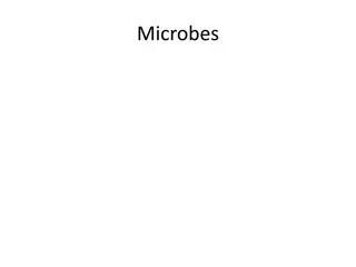 Characteristics of Microbes and Bacterial Colonies