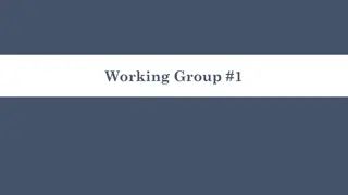 Working Group #1 Report and Recommendations