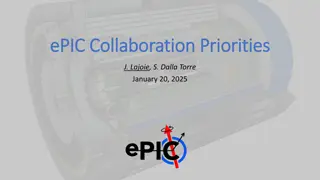 ePIC Collaboration Priorities