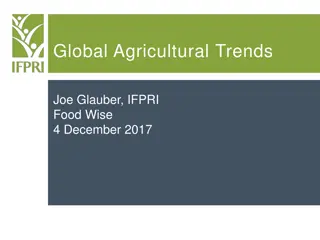 Global Agricultural Trends: Joe Glauber, IFPRI