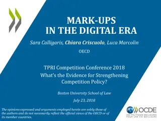 Mark-Ups in the Digital Era - Evidence for Competition Policy