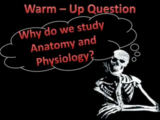 The Importance of Anatomy and Physiology