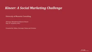 Kineer Social Marketing Challenge Report