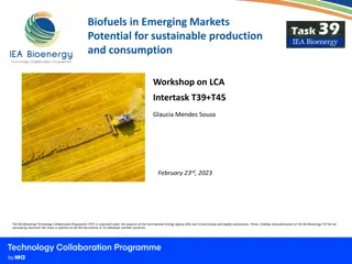 Biofuels in Emerging Markets: Sustainable Production and Consumption