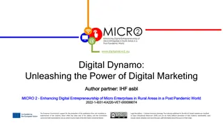Enhancing Digital Entrepreneurship in Rural Areas Post Pandemic World