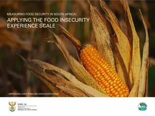 Food Insecurity in South Africa: Factors and Solutions