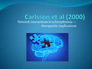Network Interactions in Schizophrenia: Therapeutic Implications