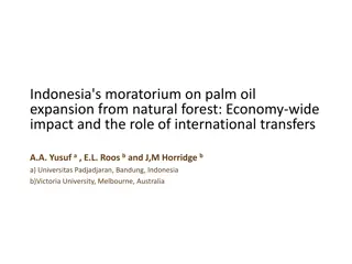 Indonesia's Economy and Development Challenges