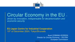 Driving Circular Economy Innovation for Decarbonization and Economic Security in the EU