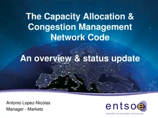 Overview of Capacity Allocation & Congestion Management Network Code