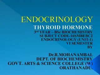 Thyroid Hormones: Production and Functions