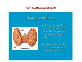 Disorders of the Parathyroid Glands