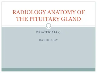 Anatomy of the Pituitary Gland: Practical Insights