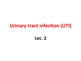 Urinary Tract Infections (UTI) and Their Manifestations