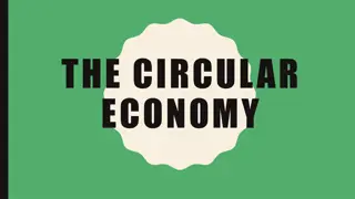 THE CIRCULAR  ECONOMY