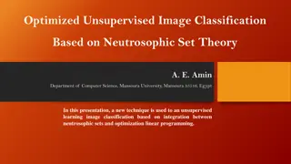 Optimized Unsupervised Image Classification Based on Neutrosophic Set Theory