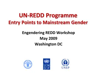 UN-REDD Programme: Advancing Gender Mainstreaming in REDD Initiatives