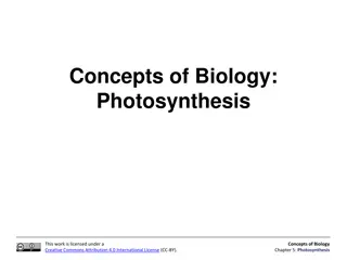 Concepts of Biology:Photosynthesis