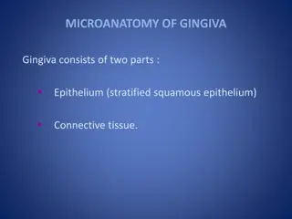 Microanatomy of Gingiva: Structure and Functions