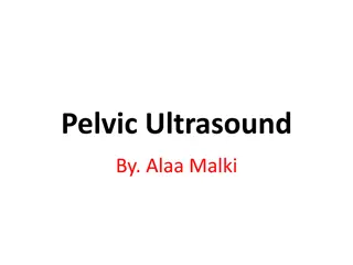Pelvic Ultrasound