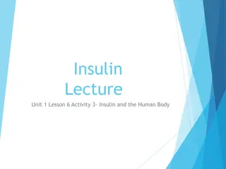 Insulin Synthesis and Regulation in Human Metabolism