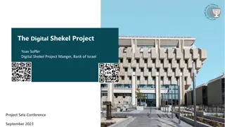 The Digital Shekel Project Overview