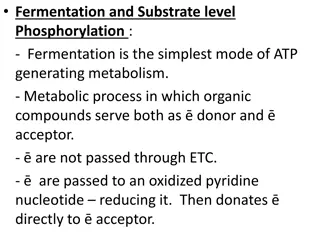 • Fermentation and Substrate-level Phosphorylation
