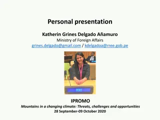 Intersectoral and Regional Coordination for Peru's Pro-Tempore Leadership in Andean Mountain Initiative