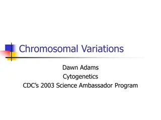 Chromosomal Variations and Syndromes Overview