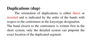 Chromosomal Abnormalities: Duplications, Insertions, Translocations, and Robertsonian Translocations