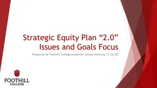 Strategic Equity Plan 2.0 Issues and Goals Focus