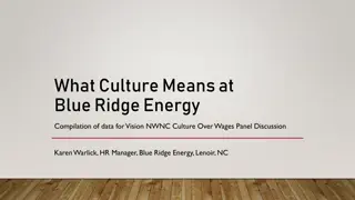 Blue Ridge Energy Culture and Value