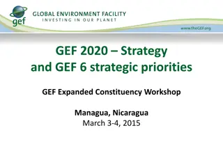 GEF 2020 Strategy and Priorities in Managua Workshop