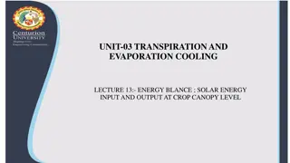 Solar Energy and Crop Canopy: Energy Balance at Canopy Level