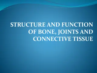 Structure and Function of Bone, Joints, and Connective Tissue Exploration