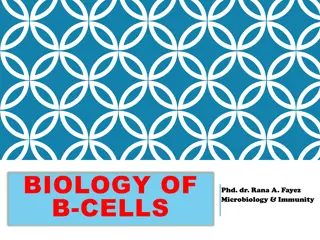 Insights into B-Cell Function and Location