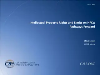 Intellectual Property Rights and Limits on HFCs: Pathways Forward