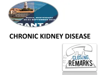 Chronic Kidney Disease and Related Immune System Dysfunction