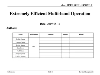 Efficient Multi-band Operation in IEEE 802.11-19
