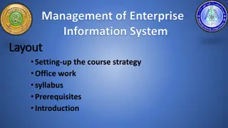 Enterprise Information System Management Course Overview