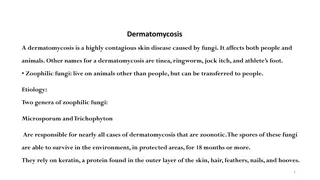 Dermatomycosis: Causes, Transmission, and Treatment