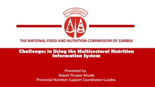 Challenges in Multisectoral Nutrition Information System in Zambia