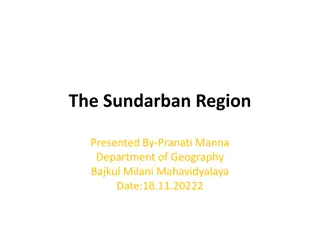 The Sundarban Region