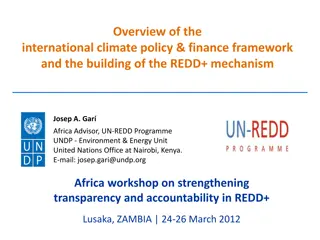 Overview of International Climate Policy and REDD+ Mechanism