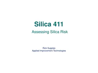 Silica: Risks and Terminology