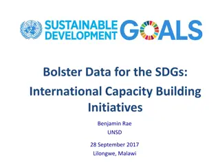 Overview of International Capacity Building Initiatives for Sustainable Development Goals