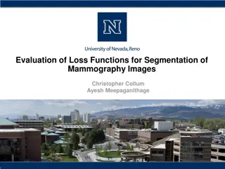 Evaluation of Loss Functions for Mammogram Segmentation