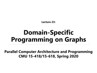 Domain-Specific Programming on Graphs in Parallel Computing