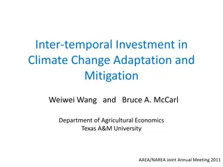 Inter-temporal Investment in Climate Change Adaptation