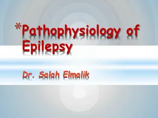 Pathophysiology of Epilepsy and Seizures